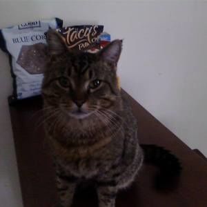 Meet your Posher, Jo-ann